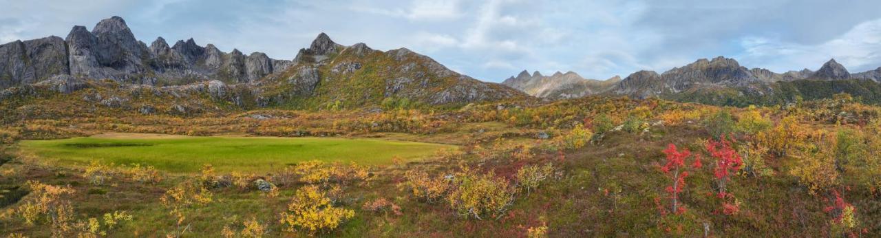 Bostad Wildlife Panorama Lofoten מראה חיצוני תמונה