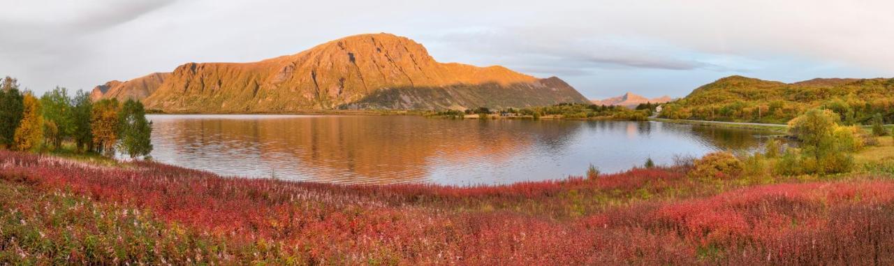 Bostad Wildlife Panorama Lofoten מראה חיצוני תמונה