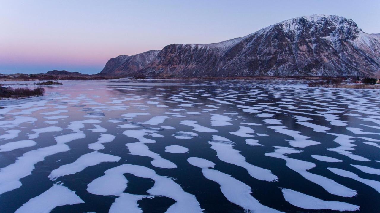 Bostad Wildlife Panorama Lofoten מראה חיצוני תמונה