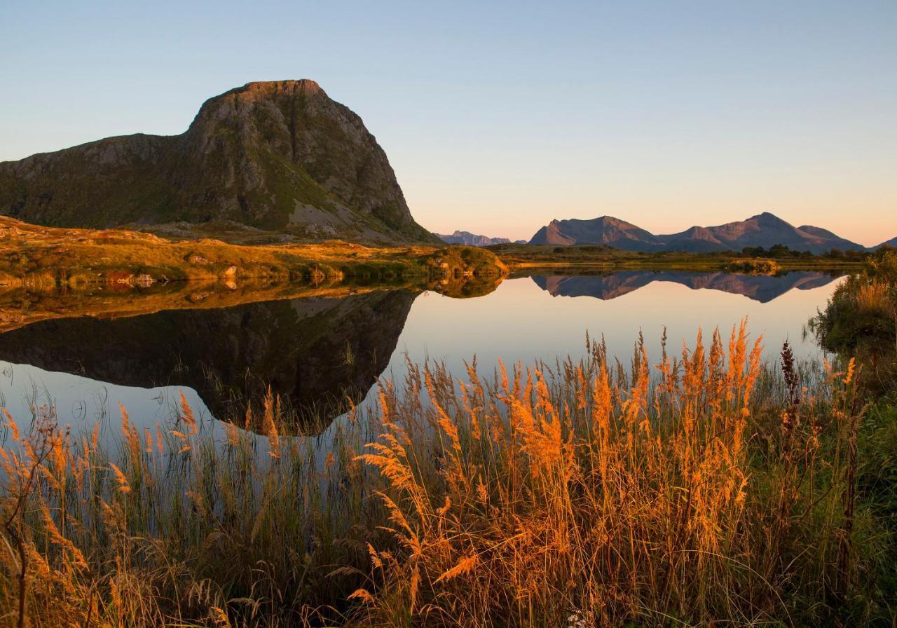 Bostad Wildlife Panorama Lofoten מראה חיצוני תמונה